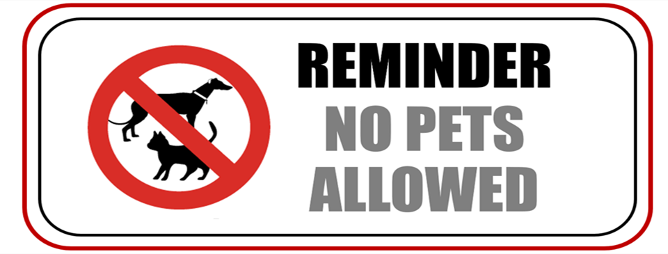 NO PETS PLEASE 